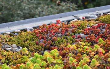 the cost of Bittadon green roof installation
