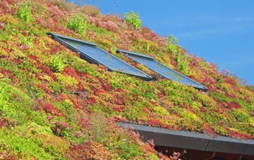 Bittadon living roof systems