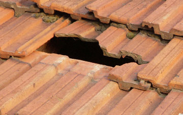 roof repair Bittadon, Devon